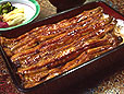 天然うなぎ